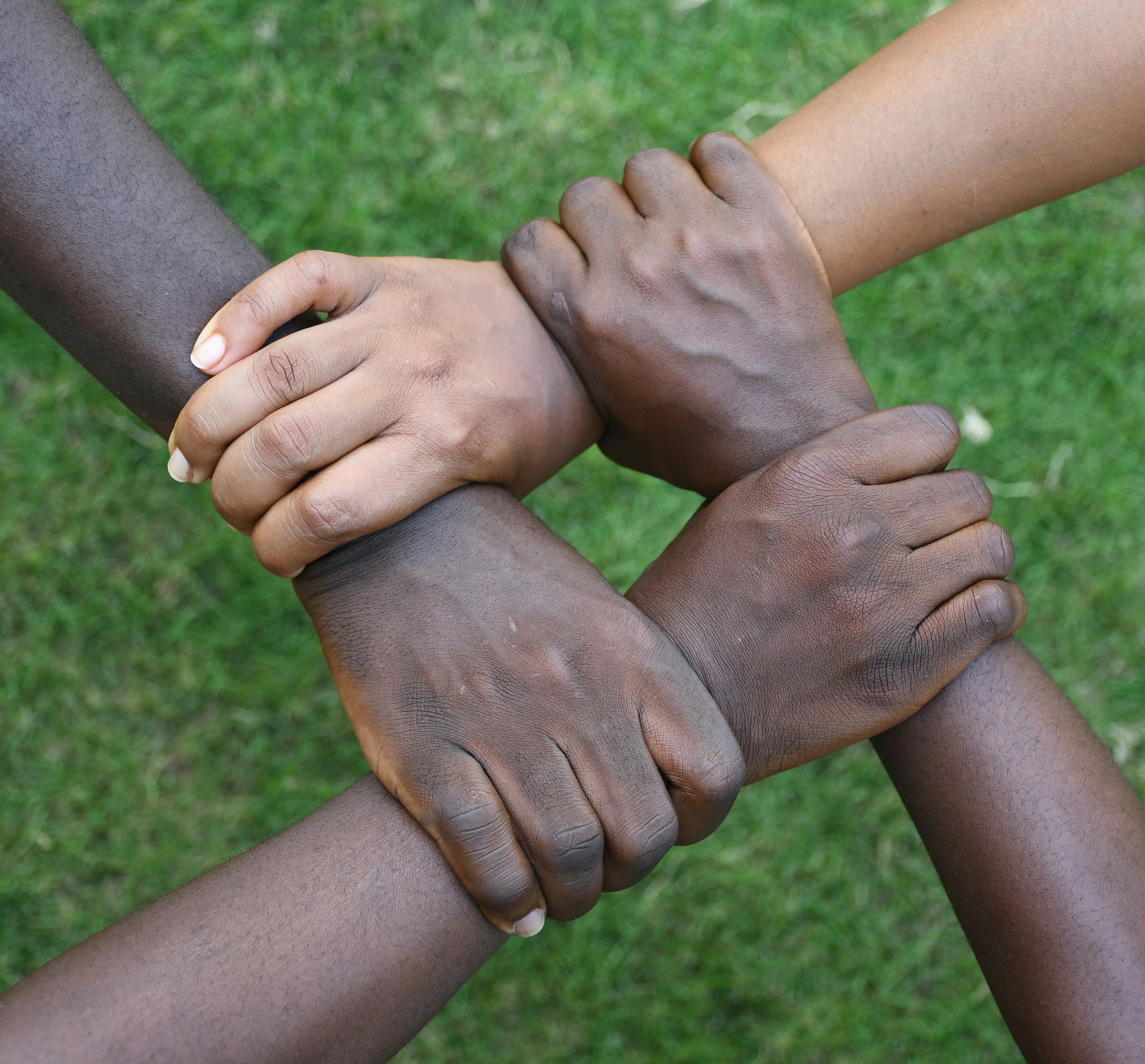 Team Collaboration